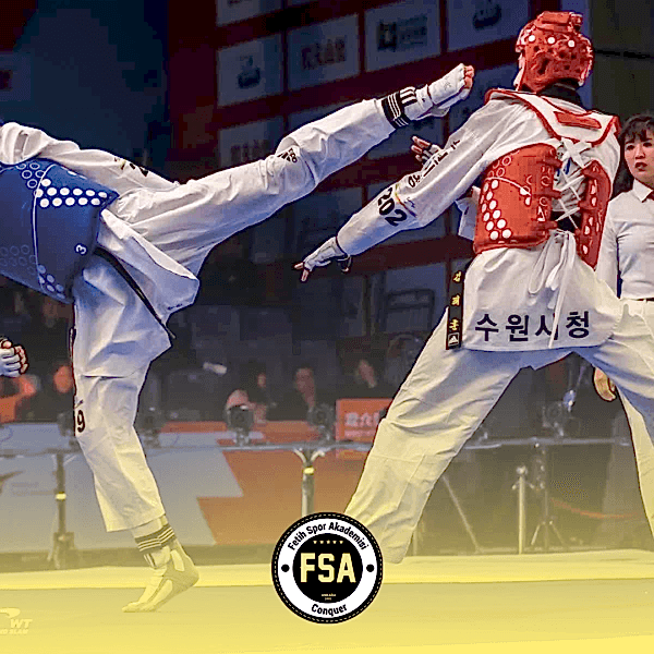 Taekwondo Taekwondo
